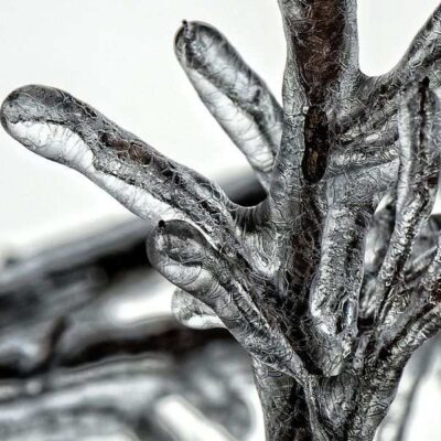 Zasady funkcjonowania komór szokowego mrożenia